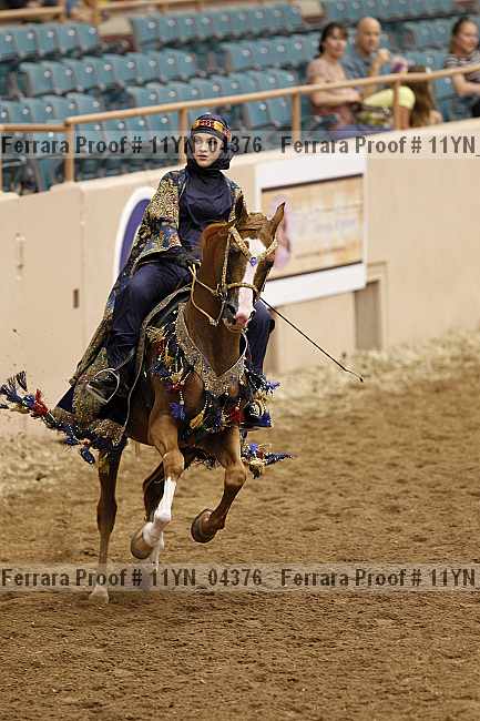 Proof 11yn_04376