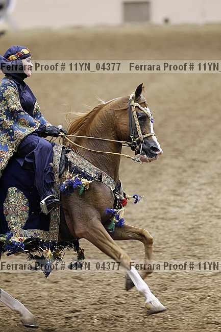 Proof 11yn_04377