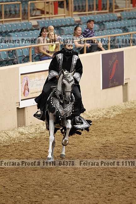 Proof 11yn_04378
