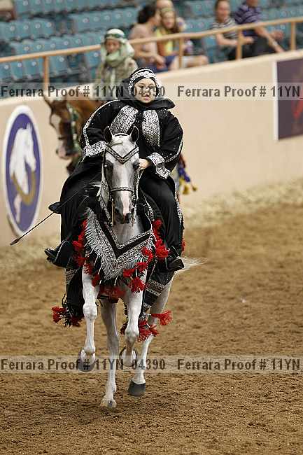 Proof 11yn_04390