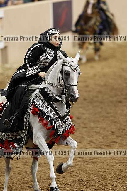 Proof 11yn_04391