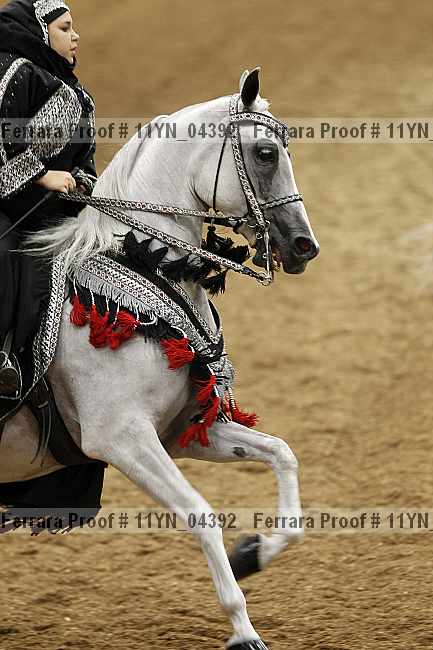 Proof 11yn_04392