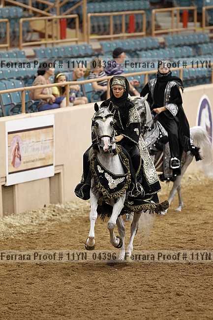 Proof 11yn_04396