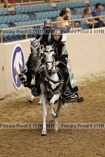 Proof 11yn_04397