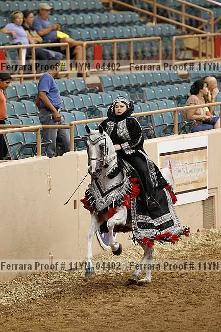 Proof 11yn_04402