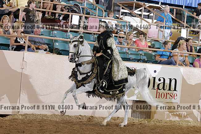 Proof 11yn_04403