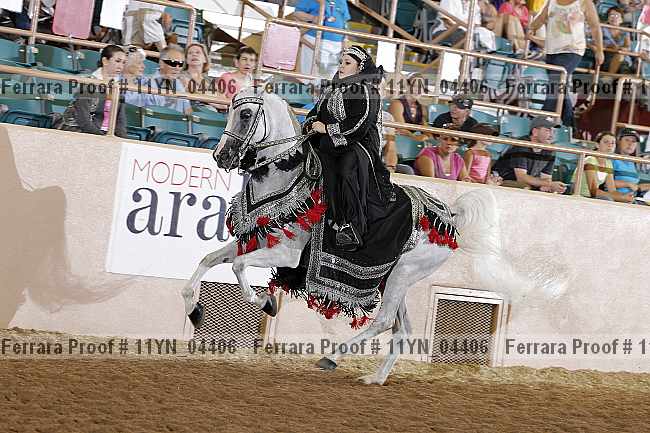 Proof 11yn_04406