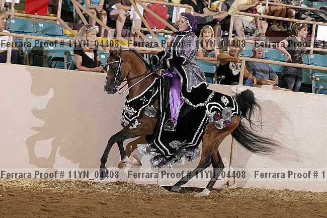 Proof 11yn_04408