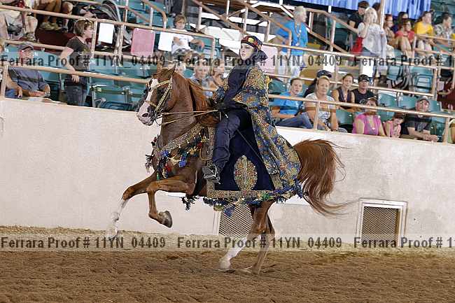 Proof 11yn_04409