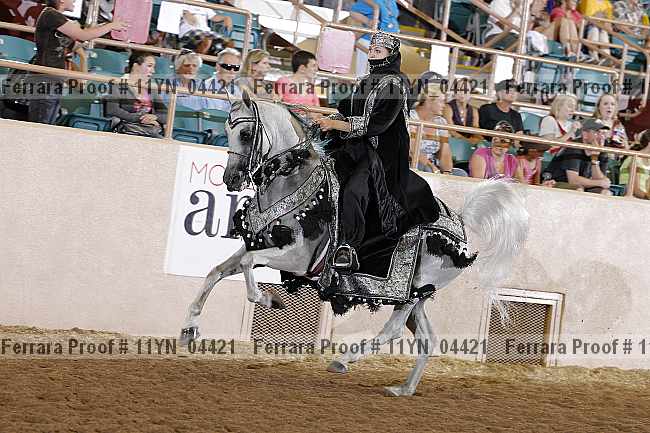 Proof 11yn_04421