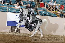 11yn_04444 proof