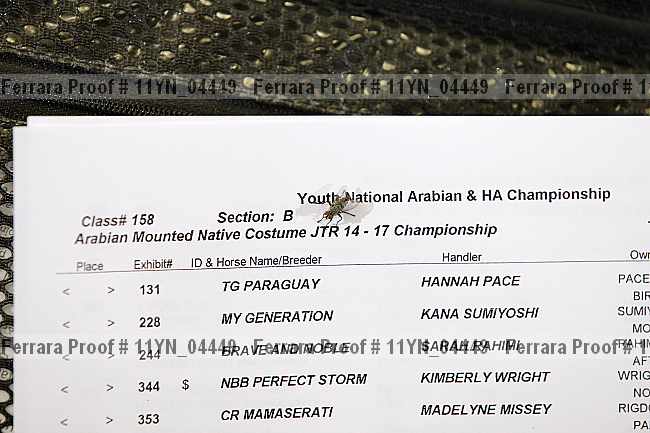 Proof 11yn_04449