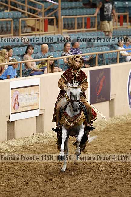 Proof 11yn_04456