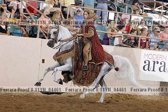 Proof 11yn_04461