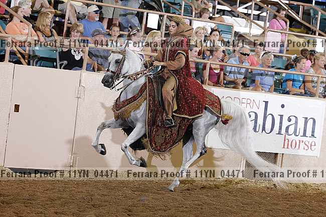 Proof 11yn_04471