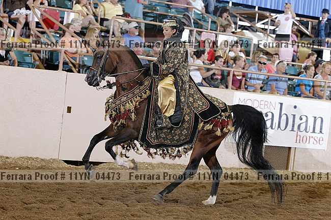 Proof 11yn_04473