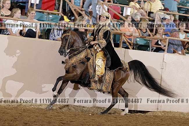 Proof 11yn_04487