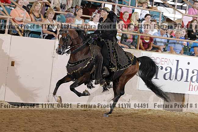 Proof 11yn_04491