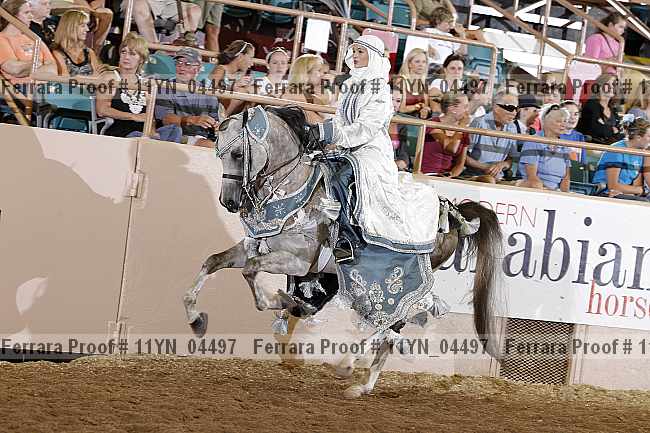 Proof 11yn_04497