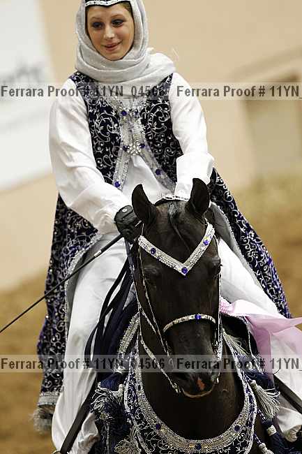 Proof 11yn_04506