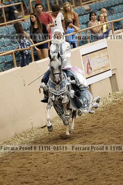 Proof 11yn_04511