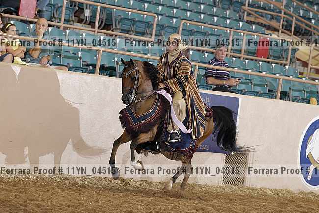 Proof 11yn_04515
