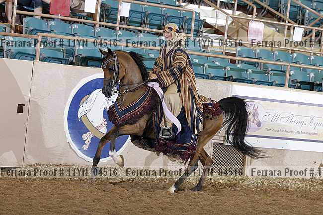 Proof 11yn_04516