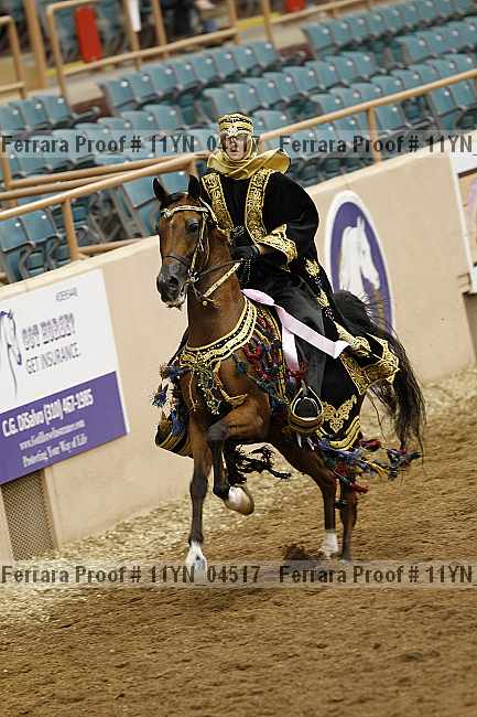 Proof 11yn_04517