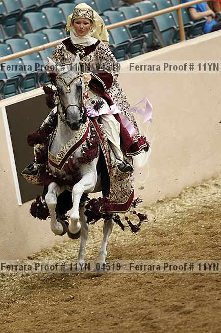 Proof 11yn_04519
