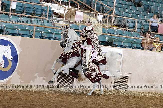 Proof 11yn_04520
