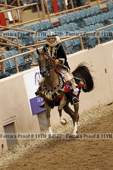 Proof 11yn_04522