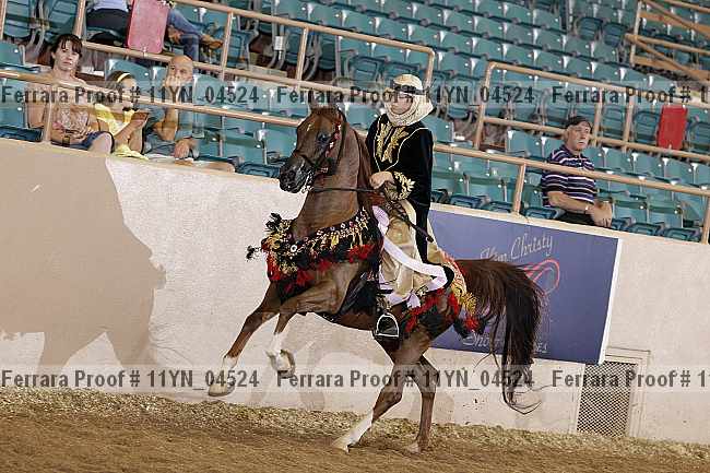 Proof 11yn_04524