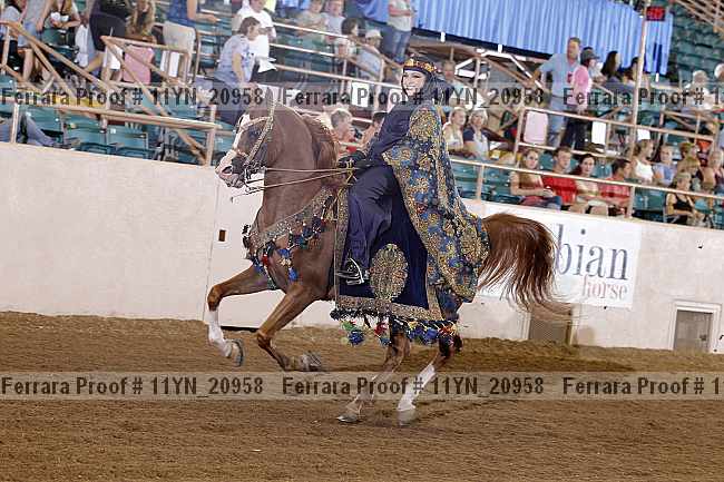 Proof 11yn_20958