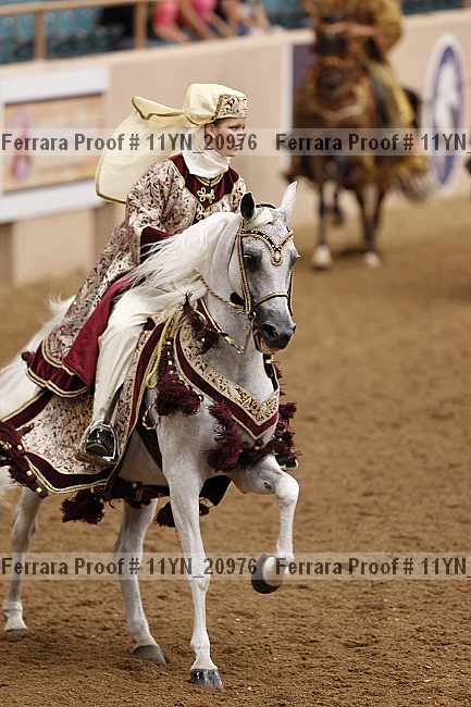 Proof 11yn_20976
