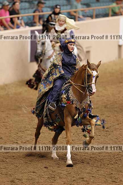 Proof 11yn_20988