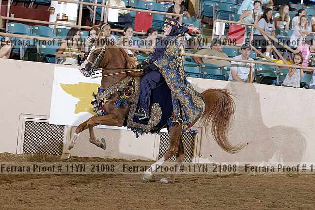 Proof 11yn_21008