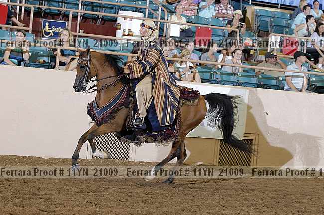 Proof 11yn_21009