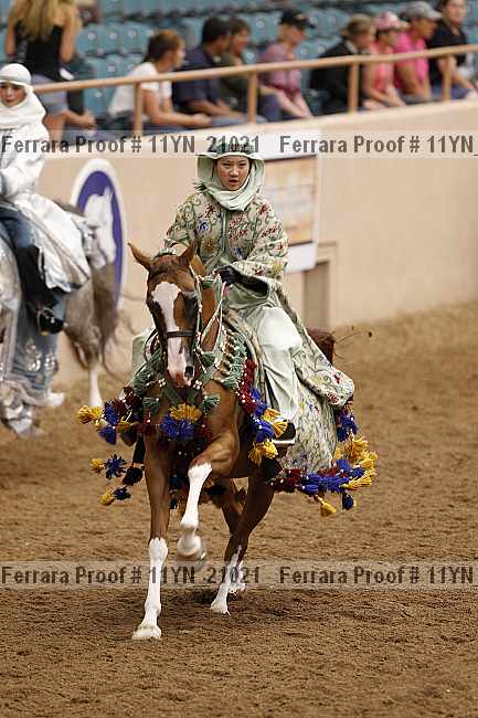 Proof 11yn_21021