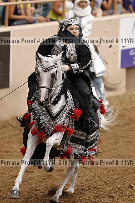 Proof 11yn_21032