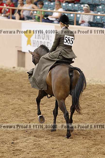 Proof 11yn_01008