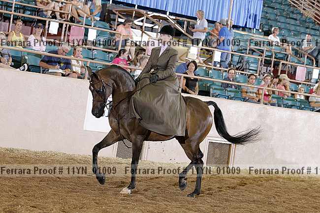 Proof 11yn_01009