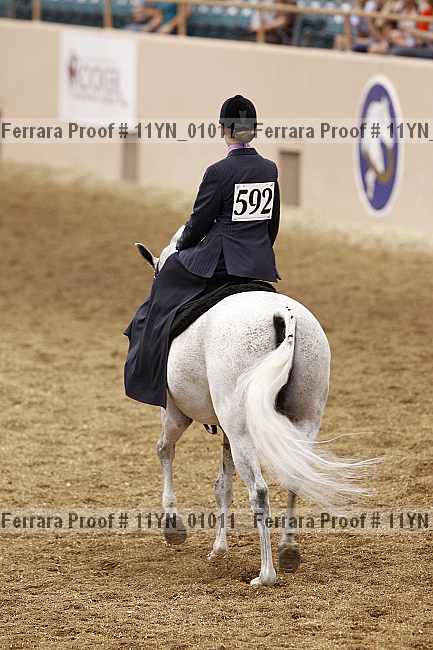 Proof 11yn_01011
