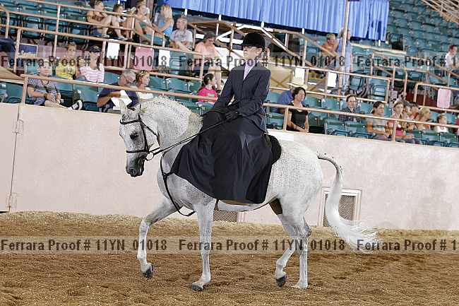 Proof 11yn_01018