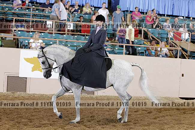 Proof 11yn_01019