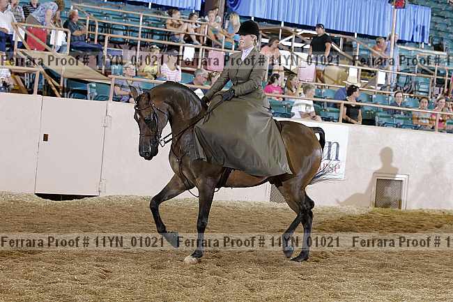 Proof 11yn_01021