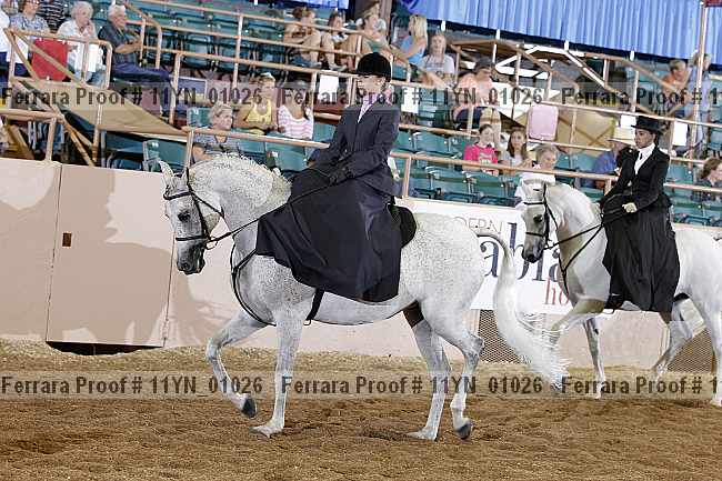 Proof 11yn_01026