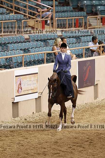 Proof 11yn_01027