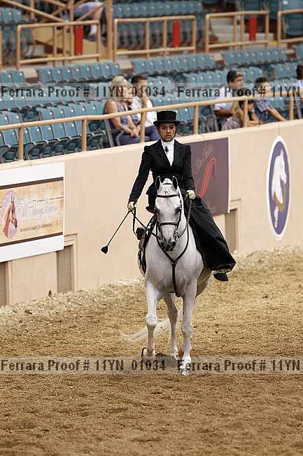 Proof 11yn_01034