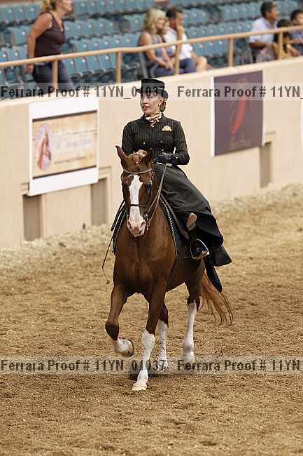 Proof 11yn_01037