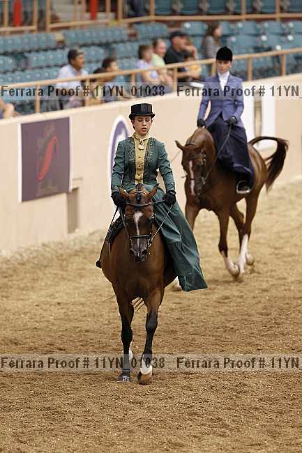 Proof 11yn_01038